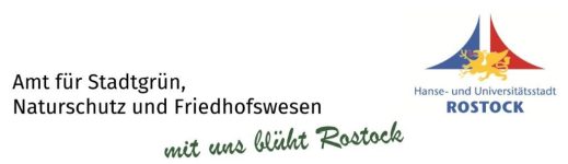 Rostock blueht 1